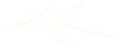 GrassRoots